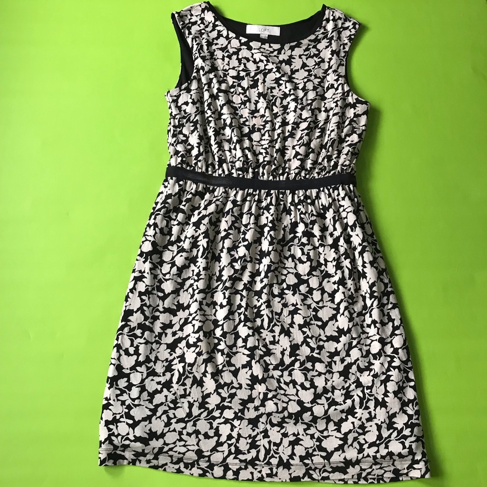 Loft black and cream dress